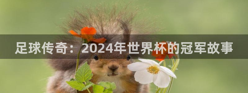 世界杯官网入口：足球传奇：2024年世界杯的冠军故事