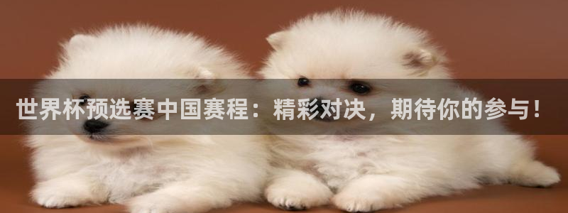 2026世界杯欧洲预选赛赛程表：世界杯预选赛中国赛程：精彩对决，期待你的参与！