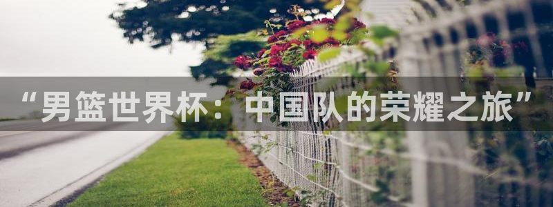 2026世界杯亚洲区预选赛：“男篮世界杯：中国队的荣耀之旅”