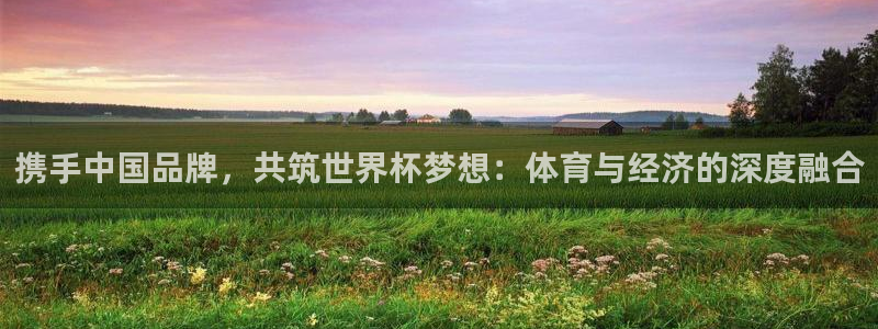 世界杯比赛赛程：携手中国品牌，共筑世界杯梦想：体育与经济的深度融合