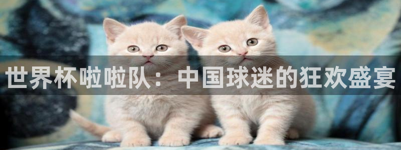 世界杯小组赛赛程：世界杯啦啦队：中国球迷的狂欢盛宴