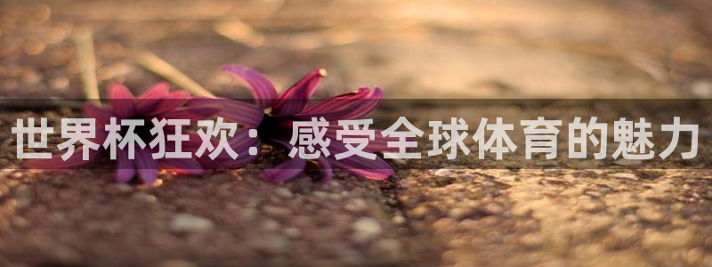 足球杯：世界杯狂欢：感受全球体育的魅力