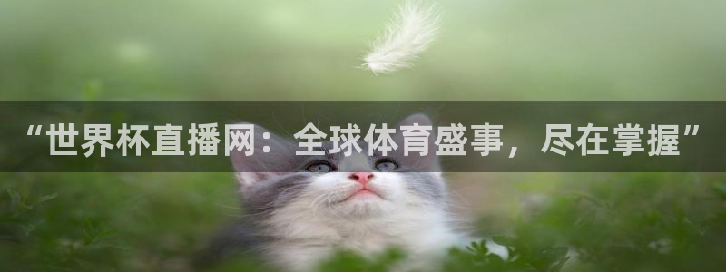 世界杯 赛程：“世界杯直播网：全球体育盛事，尽在掌握”