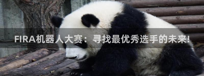 世界杯赛程时间表：FIRA机器人大赛：寻找最优秀选手的未来!